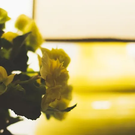 B&B La Bouganville Bed & Breakfast 3*