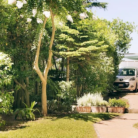 B&B La Bouganville Bed & Breakfast